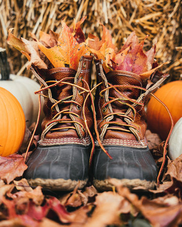 A pair of old boots filled with bright orange autumn leaves