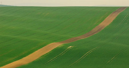 A beautiful spring landscpae in south Moravia region, Czech Republic
