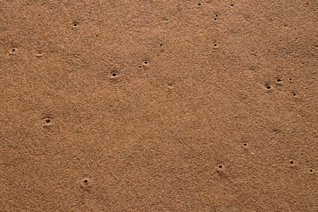 solid texture grain brown and orange colorsの写真素材