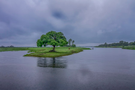 Rainy day in a very beautiful village of Narayanganj, Bangladeshの写真素材