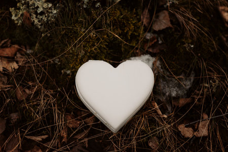 A closeup of a white heart shaped engagement ring box on top of leavesの写真素材