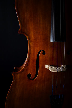 A closeup of a Cello on a black backgroundの写真素材