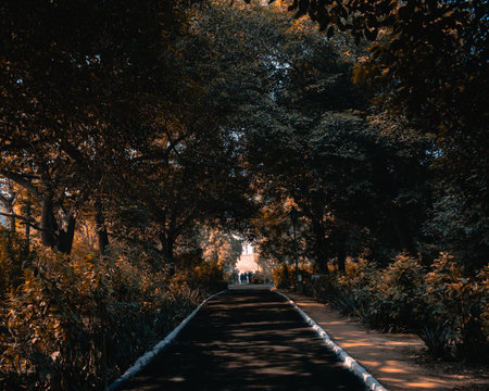 An empty trail under trees at a park in spring