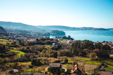 The rural landscape with dense trees on the coast in Galicia, Spainの写真素材