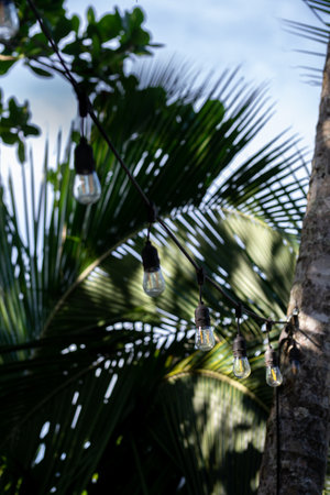A vertical shot of a small lightbulbs suspended on tree on a blurry background
