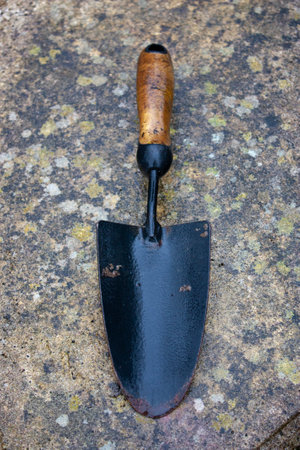 A vertical shot of a small shovel on a tile surface