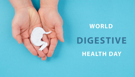 Holding a stomach in the hand, inflammation digestive system,  gastrointestinal health issues, gastric cancer, copy space for textの写真素材