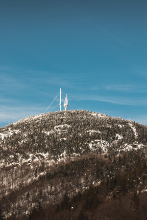A beautiful shot of a forest covered in snow during the day in winterの写真素材