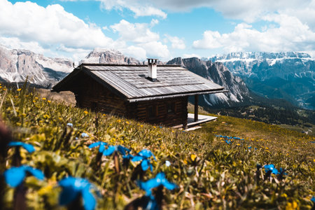A beautiful scene of blue Spring gentian flowers, a wooden barn and snow mountains with a blue cloudy skyの写真素材