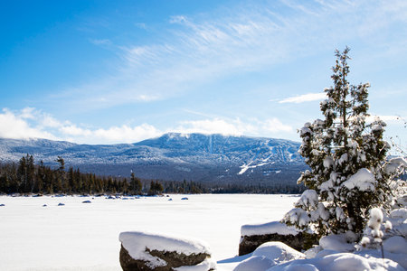 A bright winter morning in the countryside with thick snow covering the fields surrounded by greeneyrの写真素材
