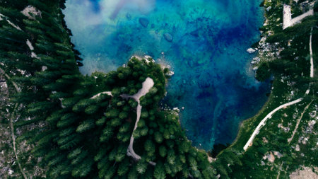 The aerial view of an azure lake close to the coast covered with fir tree forests