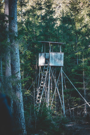 A vertical shot of a tower in the forest for hunting in Swedenの写真素材