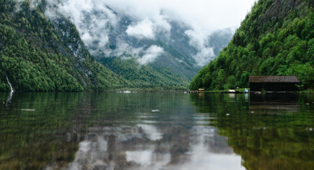 A scenic view of the trees and a tranquil lake in the rainy gloomy dayの写真素材