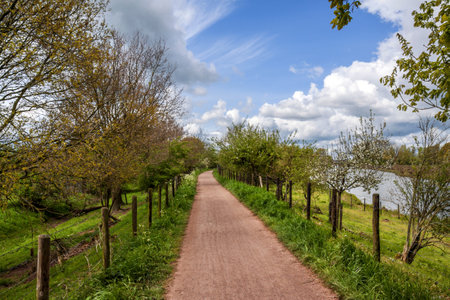 A narrow track on a dike along the Linge river in the Betuwe, Gederland (netherlands), in early...