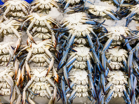 Oman Crabs at The Waterfront Market, Dubai, UAEの写真素材