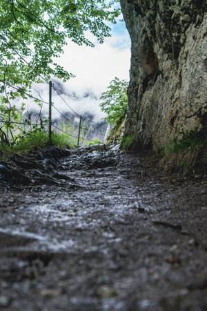 A mud path next to a thick tree trunk and wire rope fences on a cloudy sky backgroundの写真素材