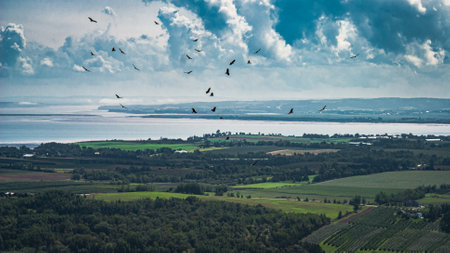 An aerial view of the Annapolis Valley in Nova Scotia