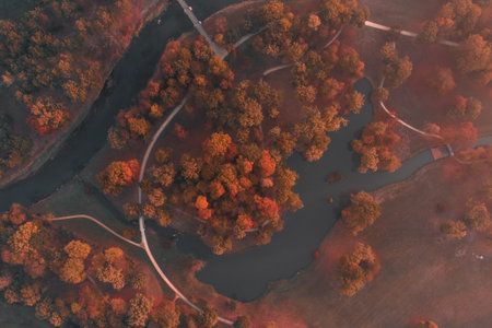 An aerial view of an autumn village
