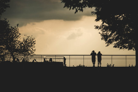 A shot of the beautiful sunset with the silhouettes of trees, park and people