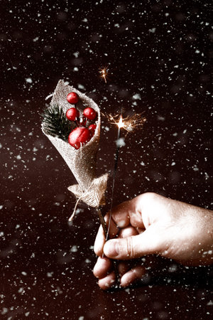 A Christmas composition with a sprig of green pine and red berries