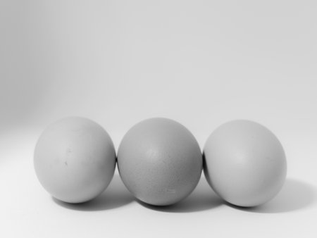A grayscale closeup of eggs on a white background