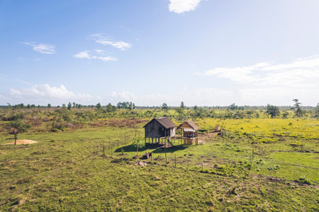 An aerial view of houses in the meadow in Honduras