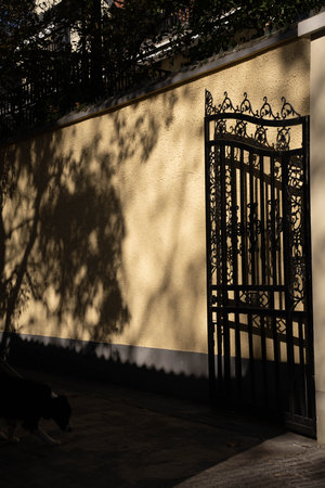 A beautiful view of a metal decorated black door next to wall fence with tree shadows at night