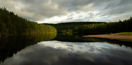 A beautiful view of a green forest with a lake in the foreground