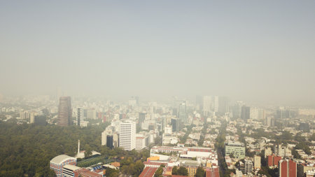 An aerial shot of a public park and high-rise buildings cityscape in the metropolis city center