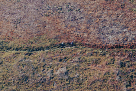 The two bikers on mountain biking trail in California, USA