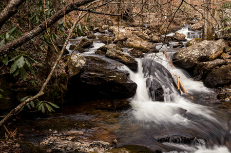 The river flowing in the forest surrounded by rocks.の写真素材