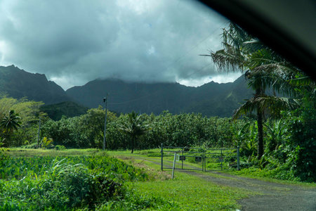 The entrance of Kauai oldest island of Hawaii on a foggy dayの写真素材