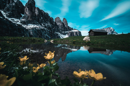 A beautiful landscape view of Marsh Marigold near reflecting water of snowy rocky cliffs and a rural...