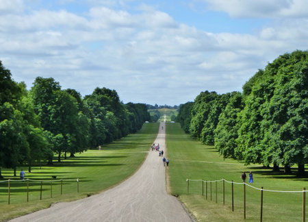 A closeup of The Long Walk in Windsor, Englandの写真素材