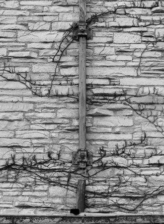 A vertical sho of the side of a building next to the Grosse Point Lighthouse in Evanston, ILの写真素材