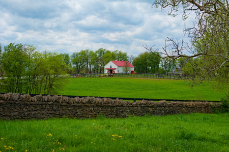 A beautiful view of horse farm in Lexington, Kentuckの写真素材