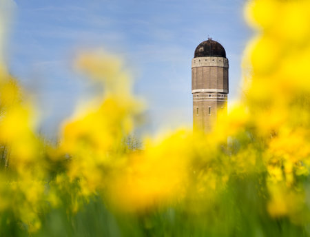 A beautiful view of a water tower in Netherlands with yellow daffodils in the foregroundの写真素材