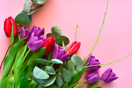 A bouquet of colorful tulips and eucalyptus leaves on a pink background with copy spaceの写真素材