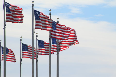 A number of US flags waving against the skyの写真素材