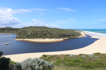 a shot of moore river in Australia