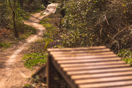 A shot of a road in a forestの写真素材