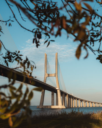 A vertical shot of the Vasco da Gama bridge on the Tagus River seen behind autumn leaves in Lisbon, Portugalの写真素材