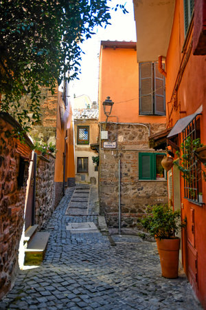 A vertical shot of a narrow street in Nemi, a medieval town overlooking a lake in Rome, Italyの写真素材