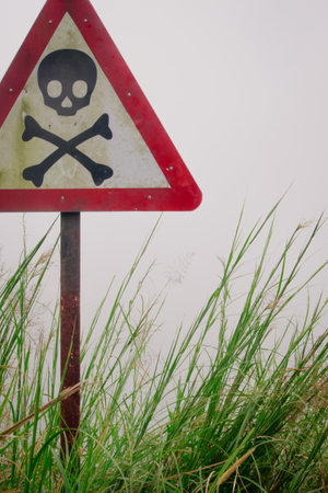 A vertical shot of a painted skull on a sign planted in grassの写真素材