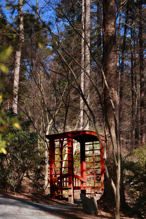 A vertical shot of a red construction on the path in a forestの写真素材