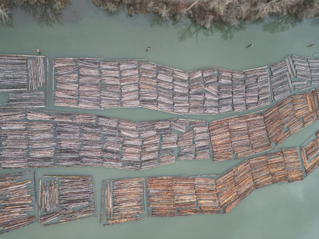 Logs stacked in a serene lake, awaiting organization