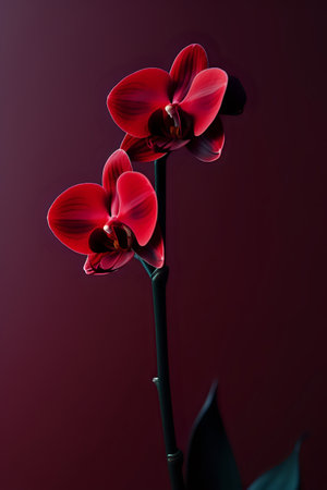 An AI generated illustration of vibrant and lush red orchids in full bloomの素材