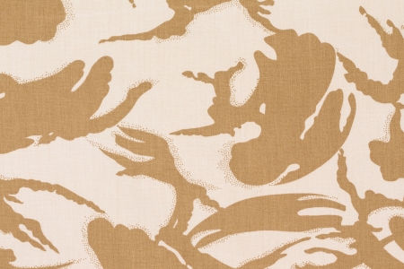 British armed force desert dpm camouflage fabric texture backgroundの写真素材