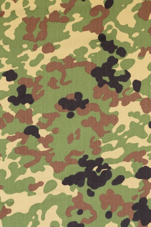 Japanese armed force flecktarn camouflage fabric texture backgroundの写真素材