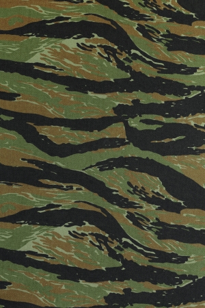 US vietnam green tigerstripe camouflage fabric texture backgroundの写真素材